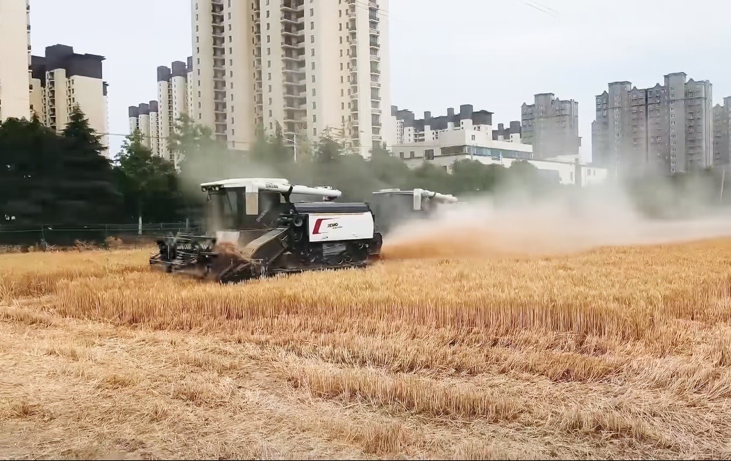 香港正版跑狗图