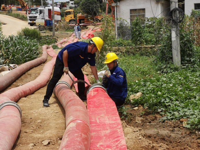 香港正版跑狗图